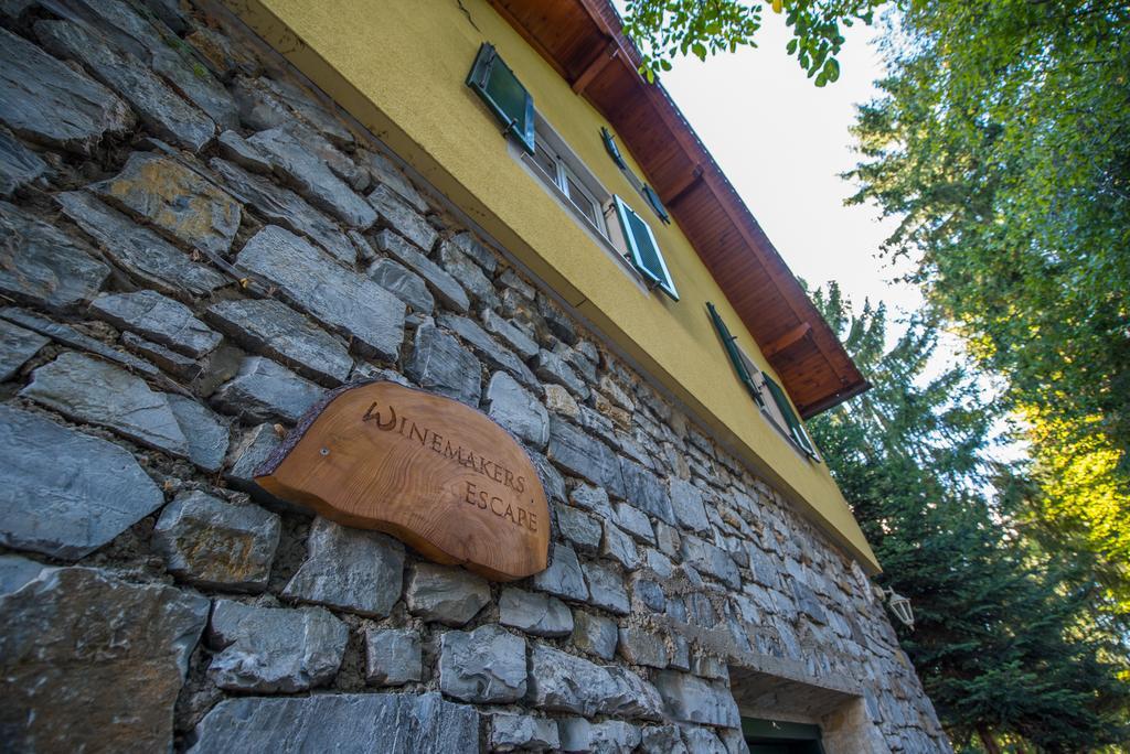 Winemakers Escape Villa Gleisdorf Buitenkant foto